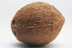 椰子是什么季節的水果？椰子幾月份成熟？[多圖]